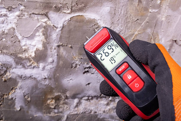 Best Mold Damage Repair  in Pelican Marsh, FL